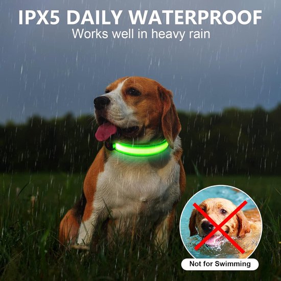 Foto: Led hondenhalsband usb oplaadbare led oplichtende halsband verstelbare waterdichte halsband lichtgevend met 3 verlichtingsmodi voor kleine middelgrote grote honden m groen energieklasse a 