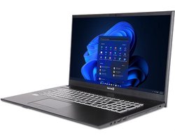 Terra Mobile 1716R 17.3" FullHD laptop - Intel Core i5-1334U - 64GB - 500GB M.2 SSD - Iris Xe Graphics - DVD±RW - Windows 11 Pro