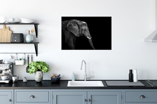 Poster Olifant - Zwart wit - Portret - Dieren - 60x40 cm