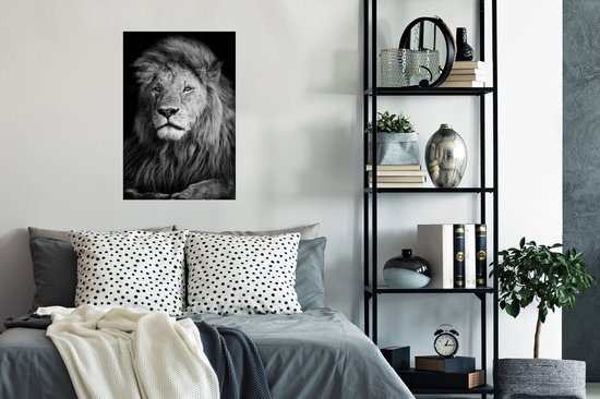 Poster Animaux sauvages - Lion - noir - Wit - 40x60 cm