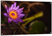 Tuinposter – Paarse Lotus Bloem met Oranje Midden - 120x80 cm Foto op Tuinposter (wanddecoratie voor buiten en binnen)