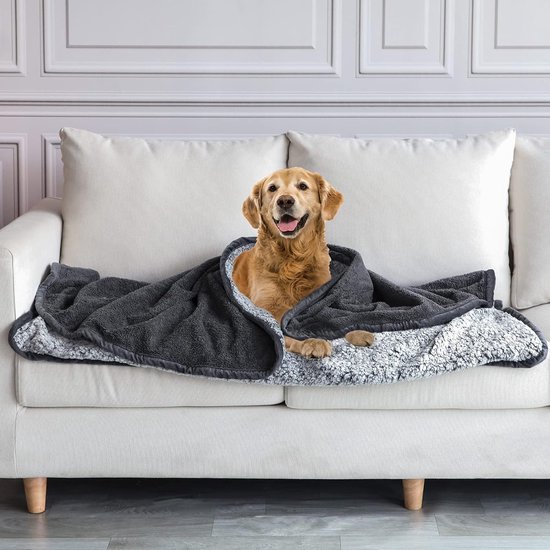Couverture imperméable pour chien, canapé-lit lavable, protection de  meubles, peluche | bol