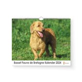 Kalender 2024 - Basset Fauve de Bretagne - 35x24cm - 300gms - Spiraalgebonden - Inclusief ophanghaak