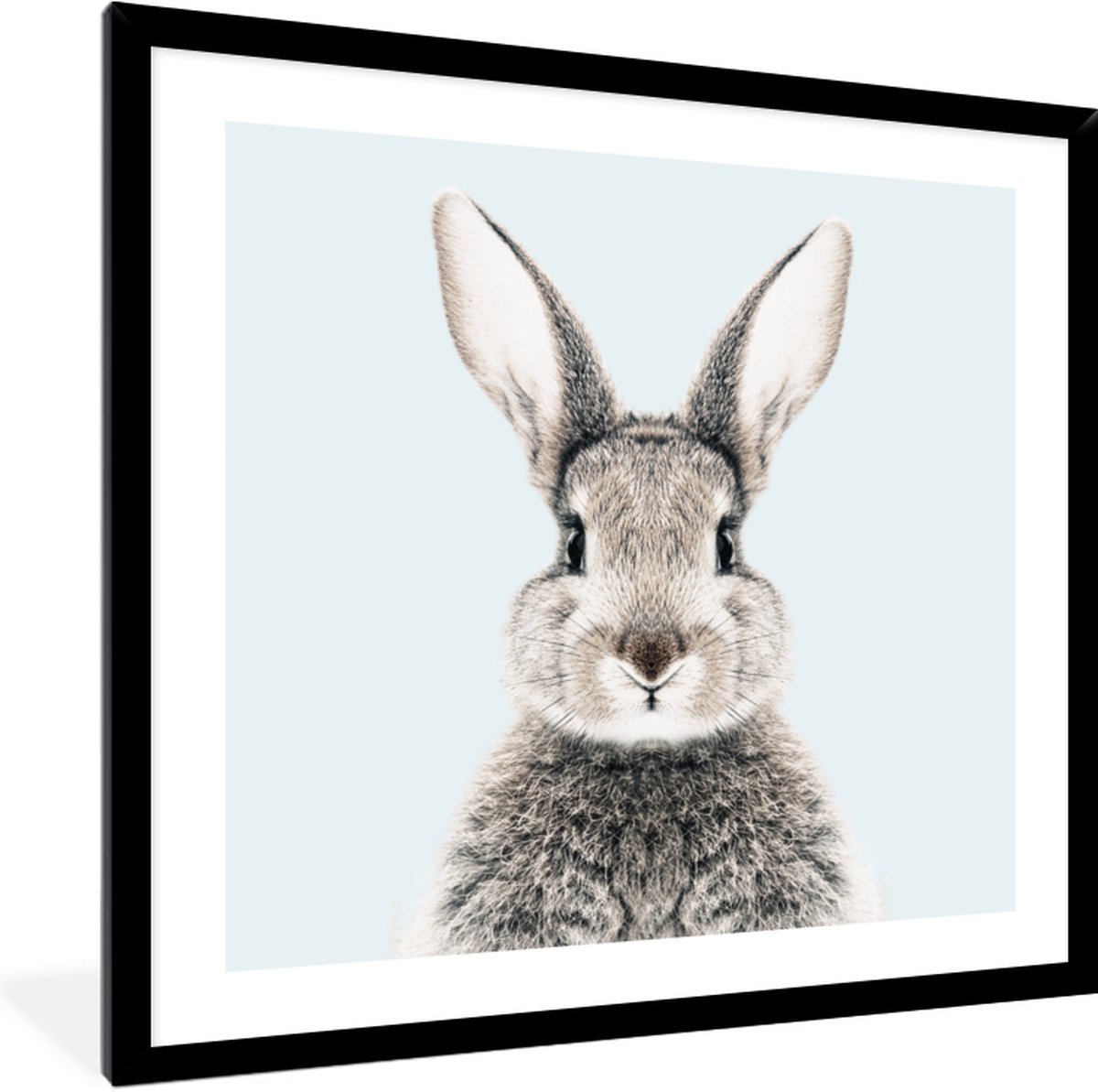 FrameYourWall Fotolijst met poster 40x40 - Konijn - Huisdieren - Portret - Blauw - Fotokader van hout - Kaders en lijsten - Houten fotolijstje - Wissellijst voor muurposter - Picture en photo frame - Posterlijst - Fotohouder Konijn - 40x40 cm