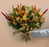 Deco Roselin - Fleurs séchées séchées - Bouquet séché Tess