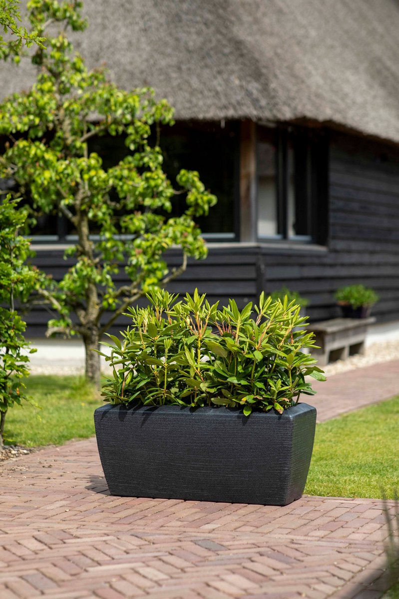 Capi Europe Jardinière rectangulaire basse Arc Granite - 60x35x40 - Noir