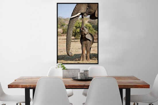 Cadre photo avec affiche - Bébé éléphant communique avec sa mère - 60x90 cm - Cadre pour affiche