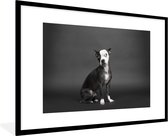 Fotolijst incl. Poster - Hond - Vlek - Portret - 90x60 cm - Posterlijst