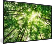 Affiche avec cadre Forêt - Soleil - Arbre - 30x20 cm