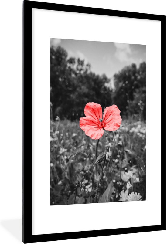 Cadre photo avec affiche - Fleurs - Rose - Zwart - Wit - 80x120 cm - Cadre pour affiche