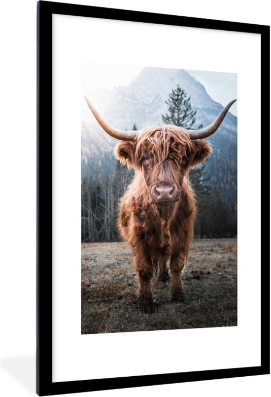 Affiche avec cadre Highlander écossais - Nature - Montagnes - 40x60 cm
