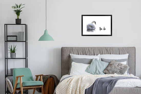 Fotolijst incl. Poster - Zwaan - Kuiken - Wit - 60x40 cm - Posterlijst