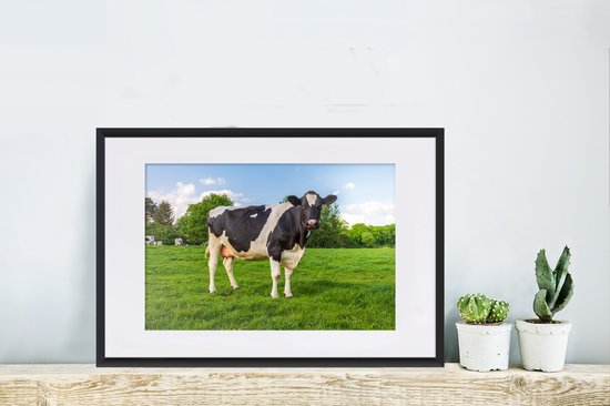 Vache Zwart et blanche dans le pré 60x40 cm