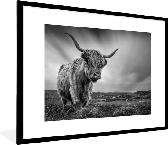 PosterMonkey - Poster - Fotolijst - Schotse hooglander - Natuur - Koe - Zwart wit - Kader - 80x60 cm - Poster zwart wit - Foto in lijst - Poster Schotse hooglander - Poster frame