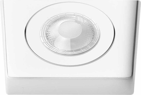 Philips Projectline LED-schijnwerper [50 watt - 4000K koel wit licht] voor commerciële buitenverlichting (911401863784