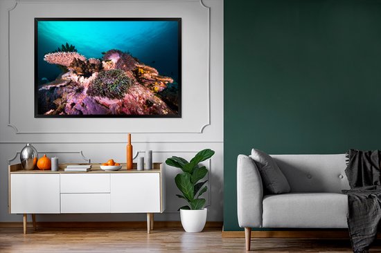 Photo encadrée - Corail lumineux dans une mer sombre près du Myanmar Cadre photo noir 120x80 cm - Affiche encadrée (Décoration murale salon / chambre)