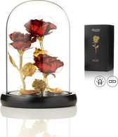 Luxe Roos in Glas met LED – 3x Gouden Roos in Brede Glazen Stolp – Moederdag - Cadeau voor vriendin moeder haar - Rood 3x Roos Brede Stolp - Qwality