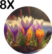 BWK Luxe Ronde Placemat - De Eerste Krokus Bloemen van het Seizoen - Set van 8 Placemats - 40x40 cm - 2 mm dik Vinyl - Anti Slip - Afneembaar