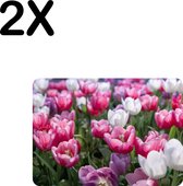 BWK Luxe Placemat - Roze met Witte Tulpen - Set van 2 Placemats - 35x25 cm - 2 mm dik Vinyl - Anti Slip - Afneembaar