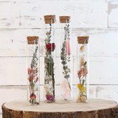 Droogbloemen in reageerbuis met kurk set van 4, gedroogde bloemendecoratie in glazen fles (kleurrijk)