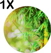BWK Luxe Ronde Placemat - Groene Bamboo - Set van 1 Placemats - 50x50 cm - 2 mm dik Vinyl - Anti Slip - Afneembaar