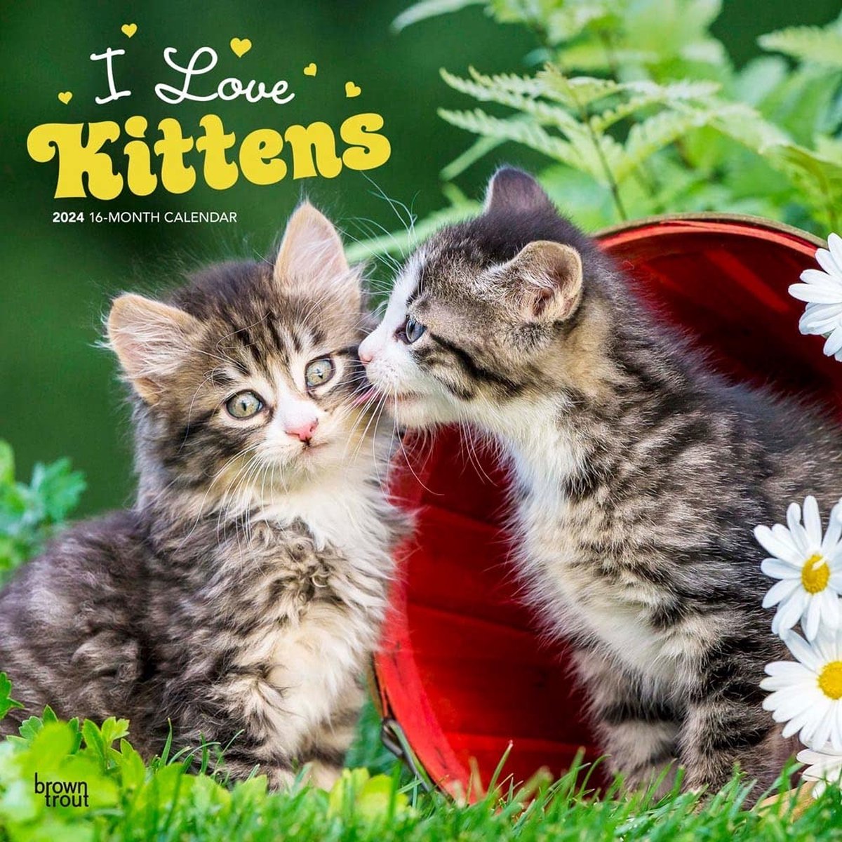 Kittens Kalender 2024