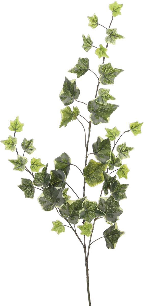 Mica Decorations Kunstplant takken Hedera - H63 cm - lichtgroen - kunststof - bladgroen - siertakken - klimop