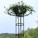 Zwarte metalen plantensteun met groene bladeren en takken die zich rond de cirkelvormige top wikkelen.