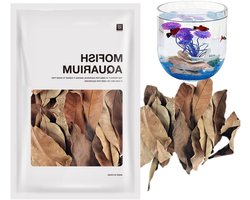 Aquarium Gedroogd Blad - Waterconditioner Natuurlijk - Waterkwaliteit Verbeteren - Niet-roterende Bladeren - 50 stuks - Natuurlijk