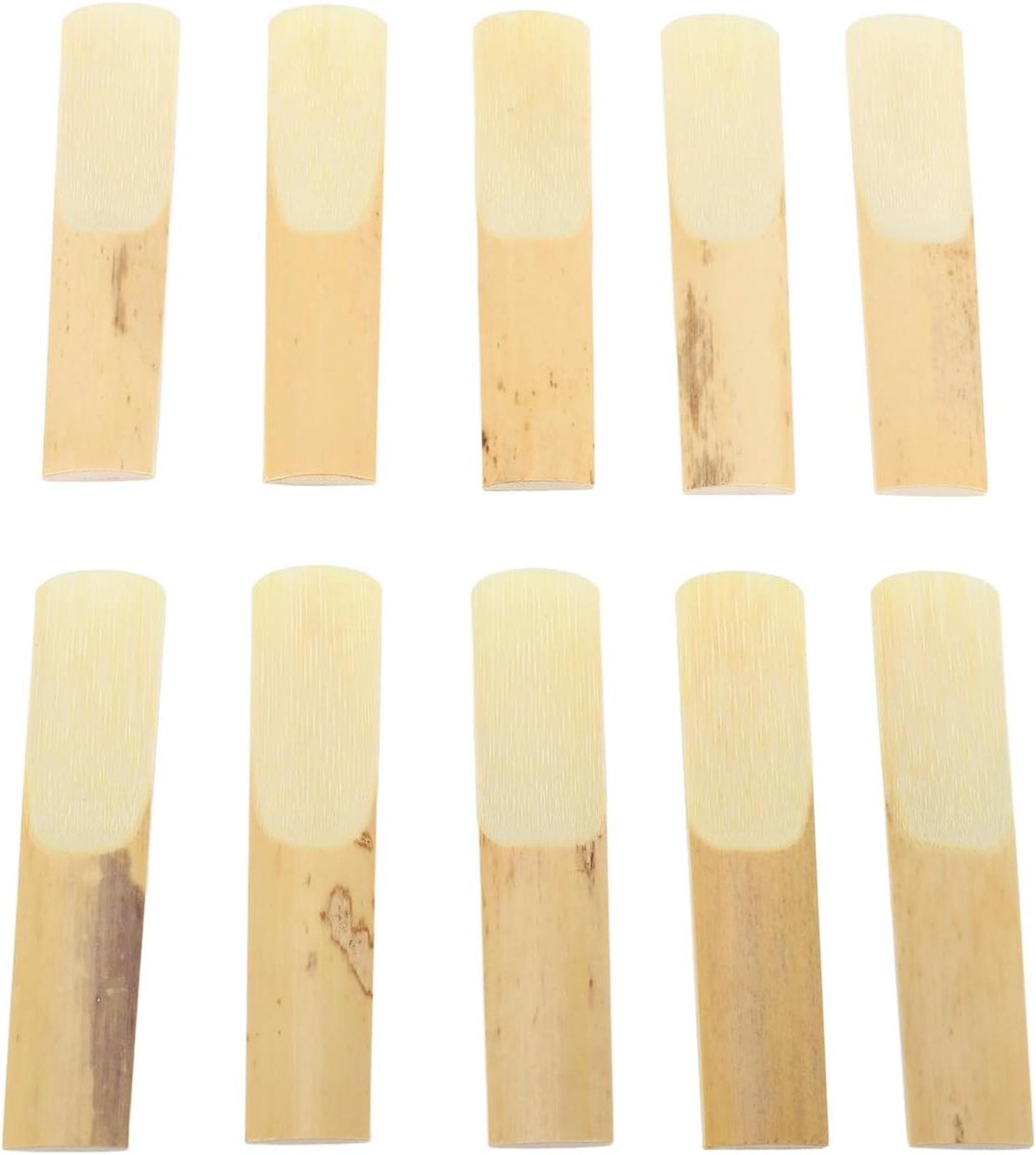 Saxofoon Rieten - Muziek Rieten - Muziek Maken - Lange Groeiperiode - 10 Stuks - Natuurlijk