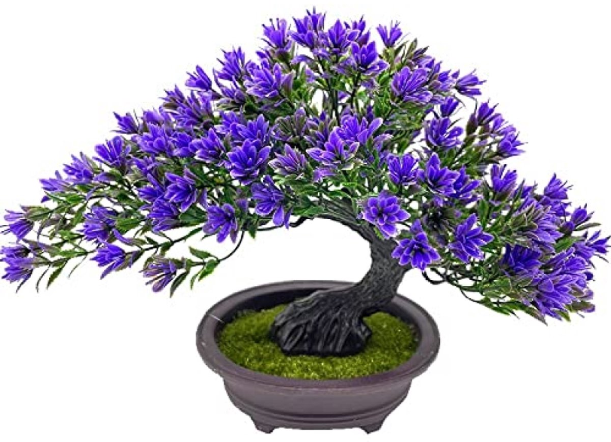 PromoHome Kunstmatige Bonsaiboom – Realistische Nep Japanse Jeneverbes – Decoratieve Kunstplant in Pot voor Binnen, Kantoor of Vensterbank – 25 cm