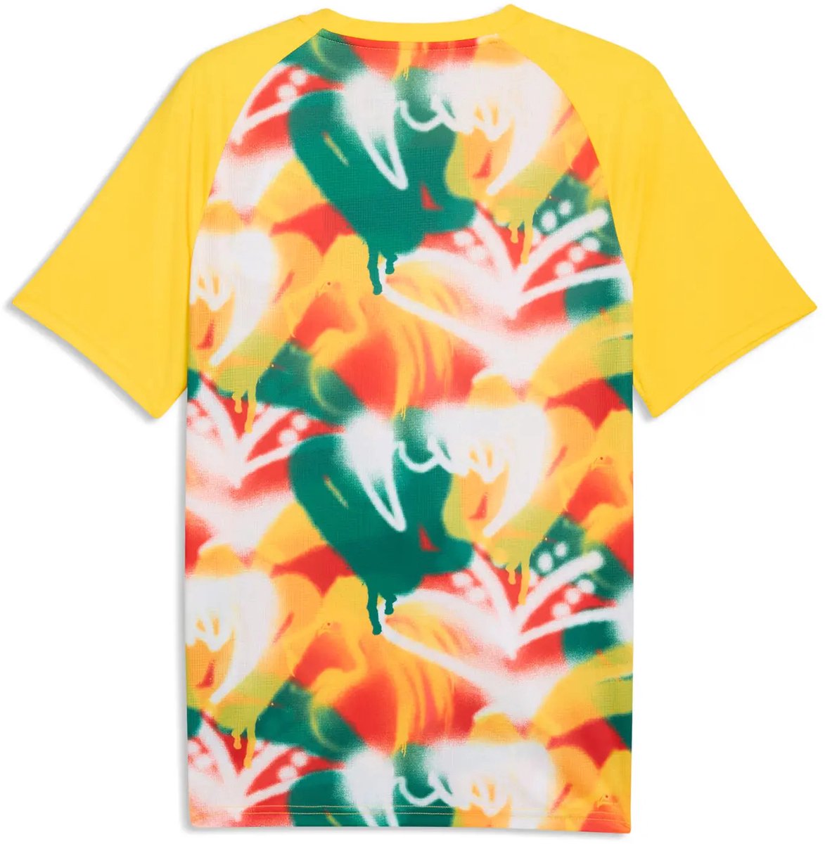 Maillot Prematch Senegal Coupe du monde 2026 Groen