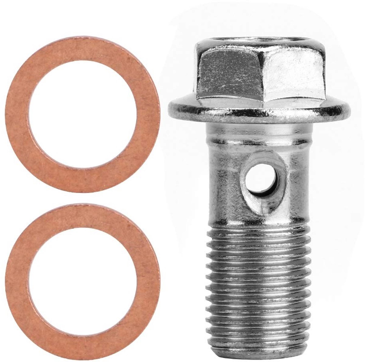 Dailygoods - Dailygoody - Motorremschroef - M10x1.00 - Robuuste bevestiging - 10mm - Roestvrijstaal - Slangbout - Geschikt voor diverse motoren - Inclusief sluitri