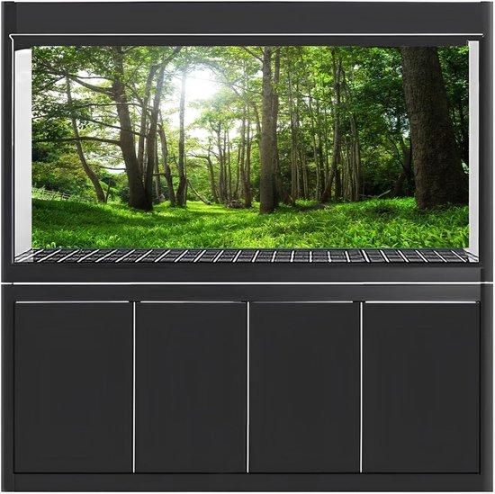 Korkrückwand & -platten für Terrarium & Aquarium
