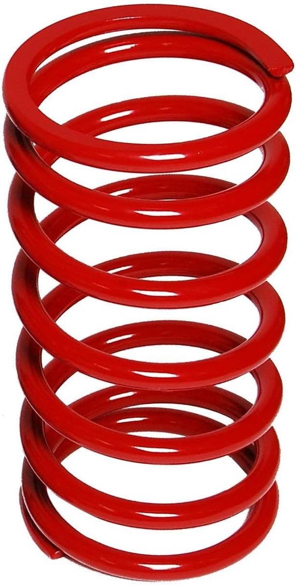 Metalen Veer - Veer Schommel - Buiten Spelen - Poedercoating - 400x200x20 mm - Rood