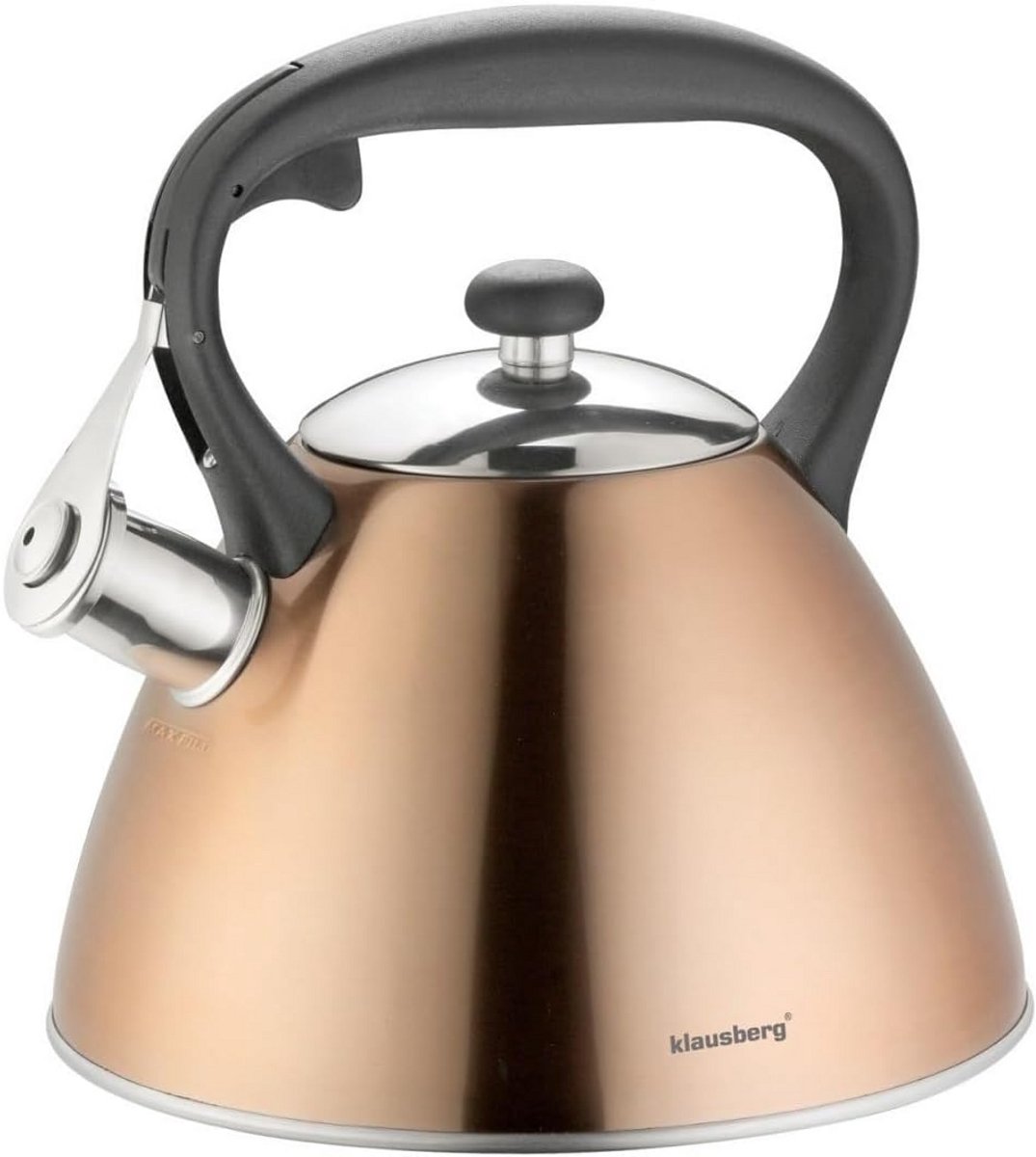 RVS Waterkoker - Fluitketel Inductie - Kookaccessoire