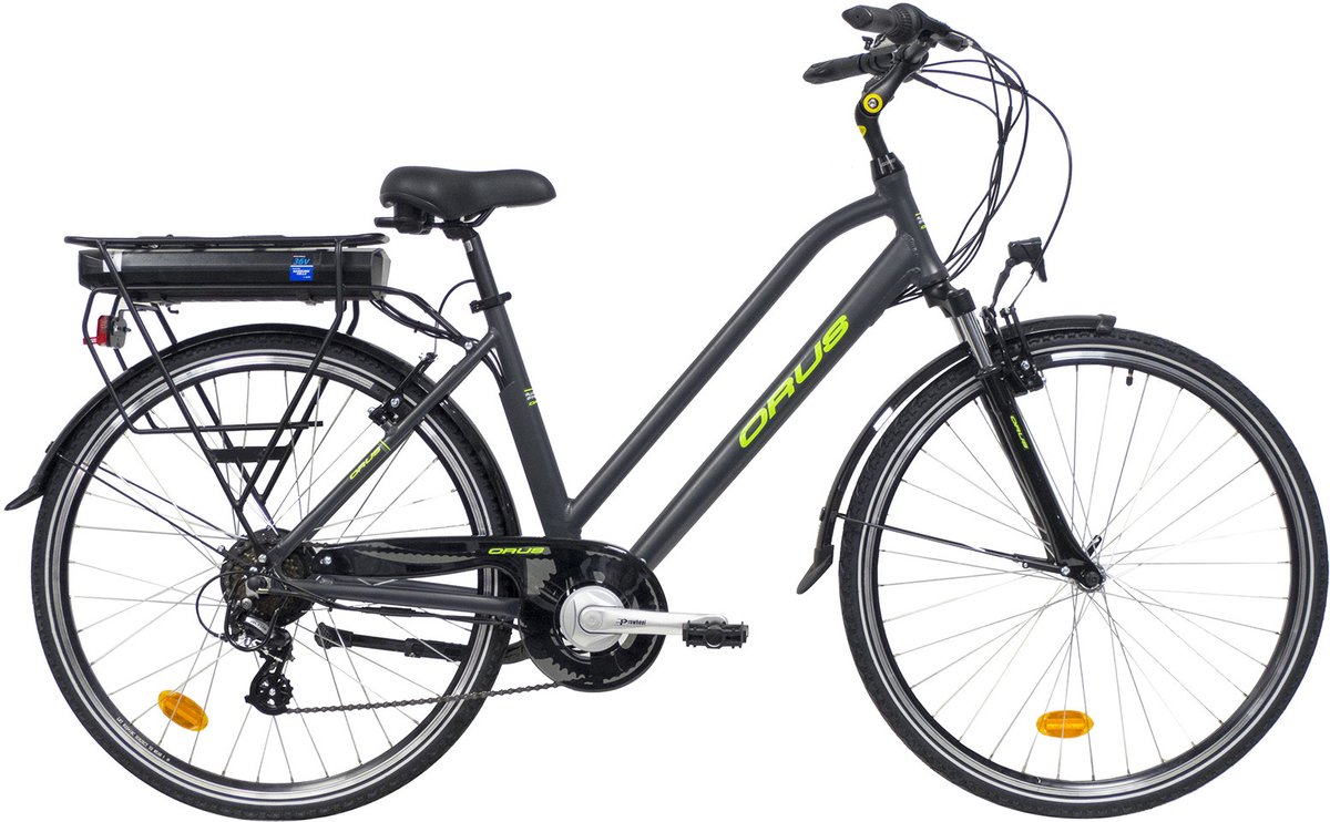 Denver SLR Orus Randonnee elektrische fiets dames 13 Ah grijs