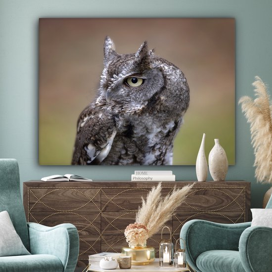 Gros plan d'un petit hibou sur toile 160x120 cm - Tirage photo sur toile (Décoration murale salon / chambre) XXL / Groot format!