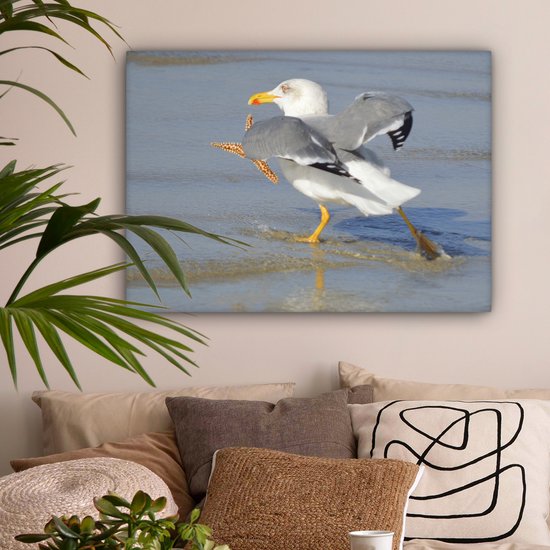 Une image d'un goéland argenté attrapant une étoile de mer Toile 80x60 cm - Tirage photo sur toile (Décoration murale salon / chambre)