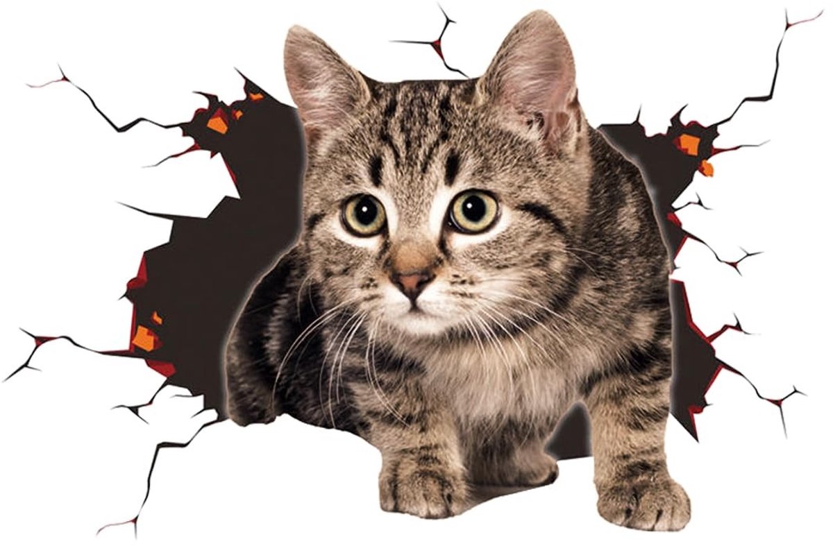 Dailygoods - Innovra - Dailygoody - 3D-sticker katten - Grappige autodecoratie - Afneembaar - Veelkleurig - Driedimensionale kattensticker - Geschikt voor terreinwagens - Ka
