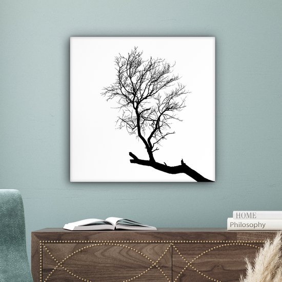 Silhouette d'une branche d'arbre 50x50 cm - Tirage photo sur toile (Décoration murale salon / chambre)