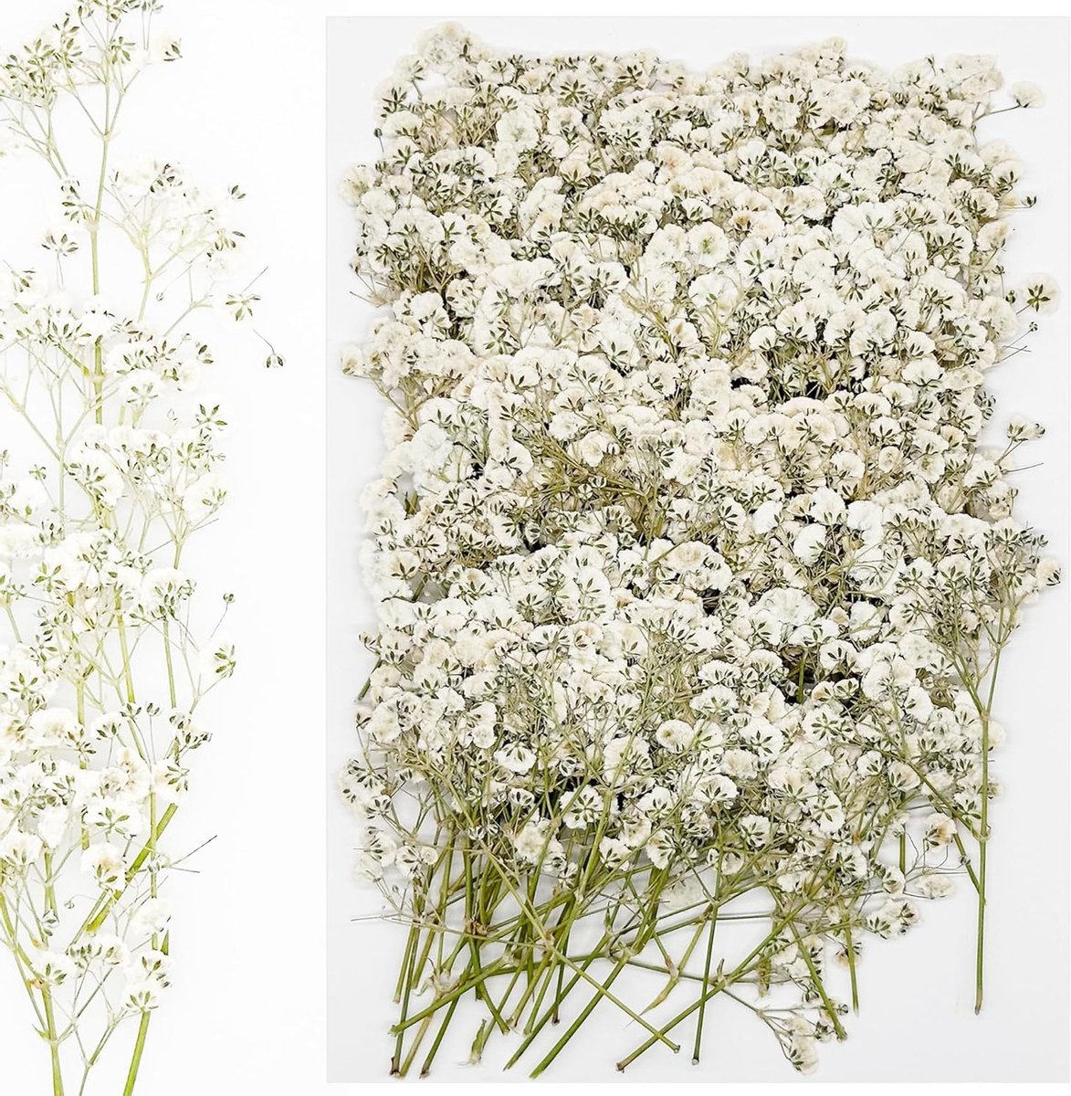 120 Stuks Gedroogde Bloemen voor Hars, Natuurlijke Geperste Bloemen voor DIY Sieraden, Kaarsen en Decoratie
