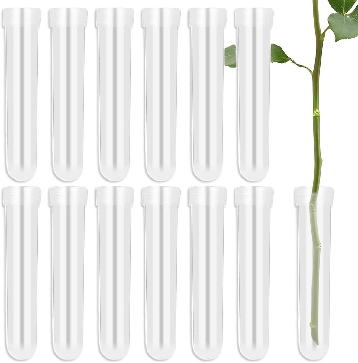 Set van 12 Transparante Bloemwater Tubes met Doppen, Ideaal voor Orchideeën in Cafés en Kantoren