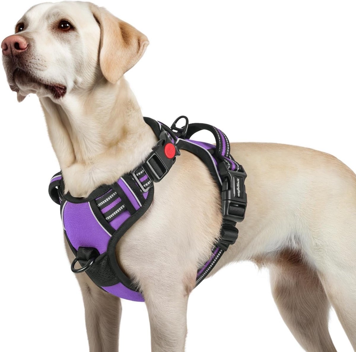 Verstelbaar en Gevoerd Hondentuig zonder Trekking voor Grote en Kleine Honden - Ideaal voor Sport en Wandelen