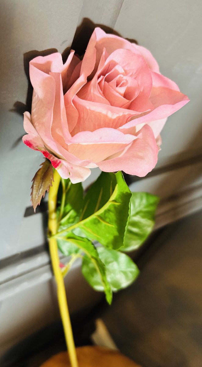 Roos op stam | Licht Roze | Decoratieve tak | Kunstbloem |Trendy | Woonaccessoires | Woonaccessoire | Boeket | Bloemen | Lente | Pasen | Woon | Wonen | Woninginrichting | Trendy | Trending | Accessoire | Woondecoratie