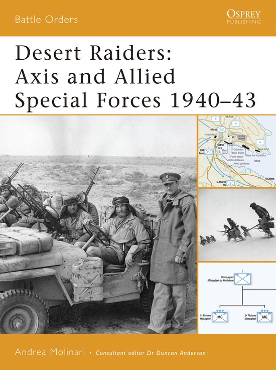 Desert Raiders - cover