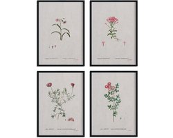 Aquarel Poster Bloemen - Botanische Print - Wanddecoratie - 250 Gram Antalis Papier - A3 - Meerkleurig