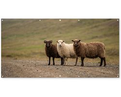 Tuinposter 200x100 cm - Tuindecoratie Schapen - Bruin - Wit - Grindpad - Poster voor in de tuin - Buiten decoratie - Schutting tuinschilderij - Tuindoek muurdecoratie - Wanddecoratie balkondoek