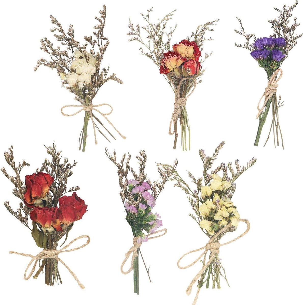 Droogbloemen Boeketten - Gedroogde Planten - Decoratie en Knutselen - Natuurlijk Gedroogd - 6 Stuks - Multicolor
