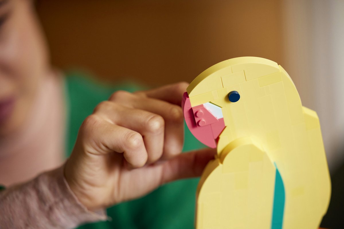 LEGO Art De Faunacollectie Kleurrijke papegaaien - 31211 — afbeelding 16